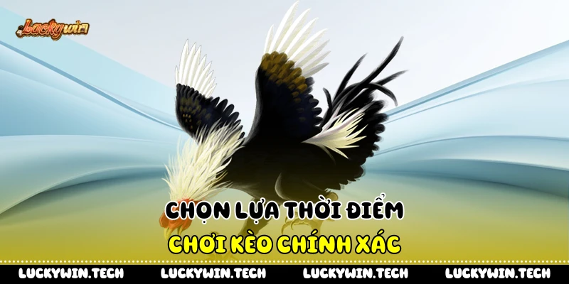 Chọn lựa thời điểm chơi kèo chính xác