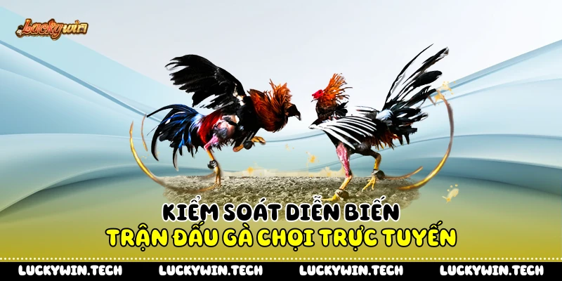 Kiểm soát diễn biến trận đấu gà chọi trực tuyến